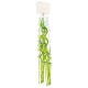 Lampe acrila