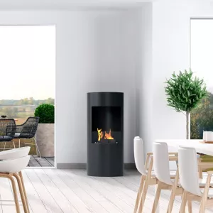 Leonis etanoli liesi