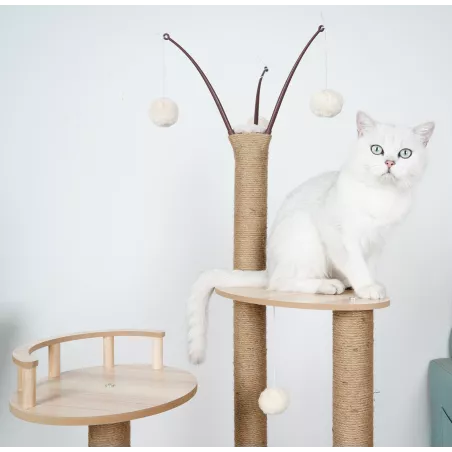 Arbre à chat en bois massif - Pour chats actifs et joueurs