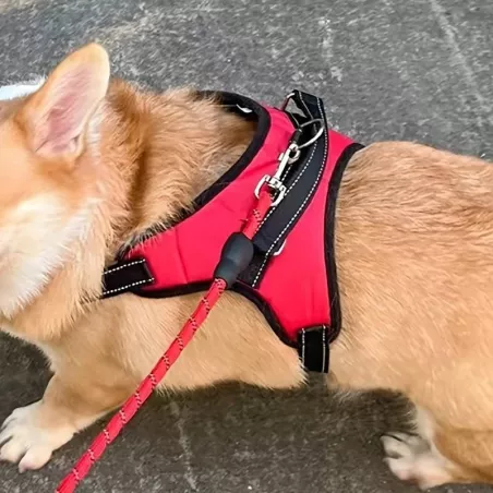 Pettorina intelligente regolabile per cani - Sicurezza e comfort Colore Rosso Dimensione S