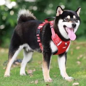 Easy-to-use reflective harness