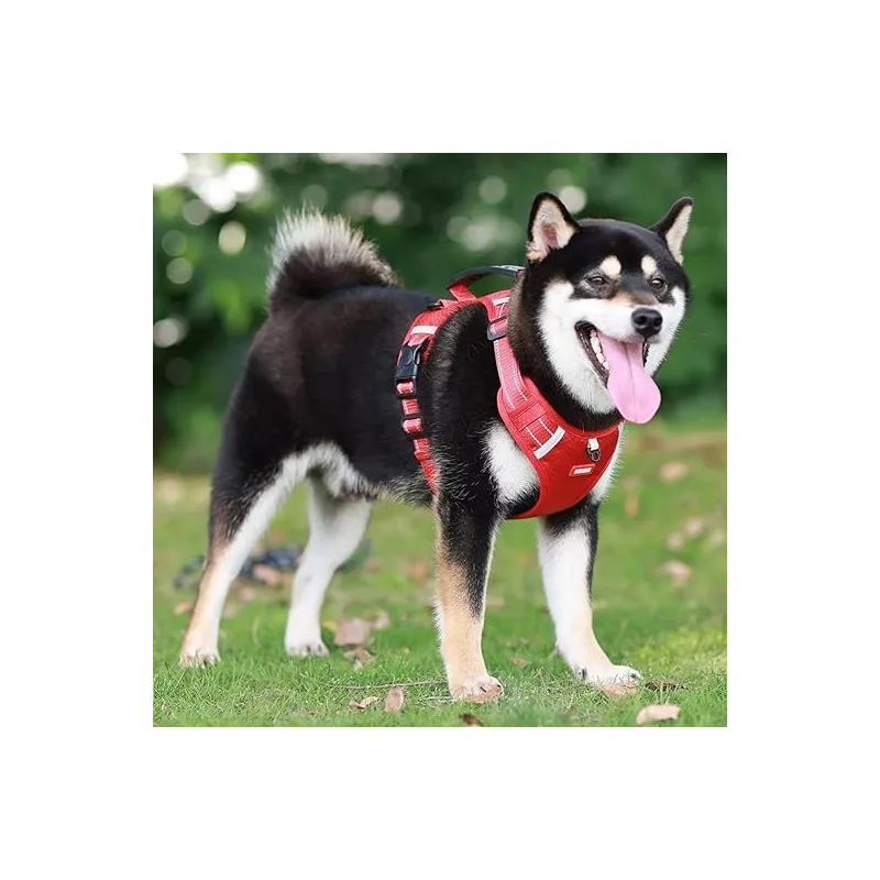 Easy-to-use reflective harness