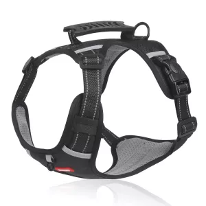 Easy-to-use reflective harness