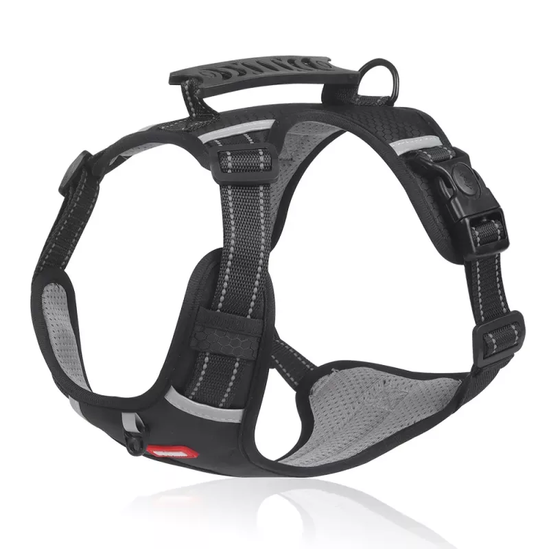 Easy-to-use reflective harness Colour Black Size S