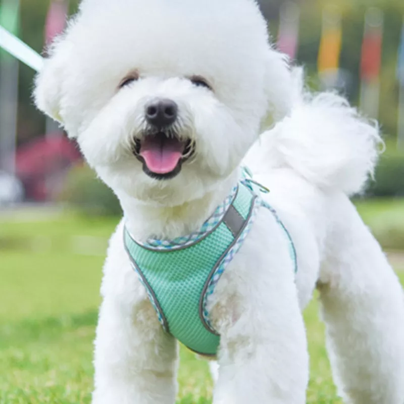 Harnais pour chien - Harnais réfléchissant Couleur Vert Taille S
