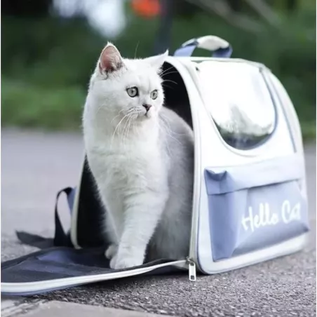 Sac de transport pour animaux de compagnie, caisse de transport Couleur Bleu
