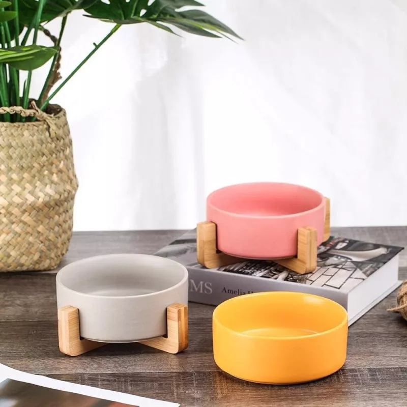 Ceramic bowl for pets