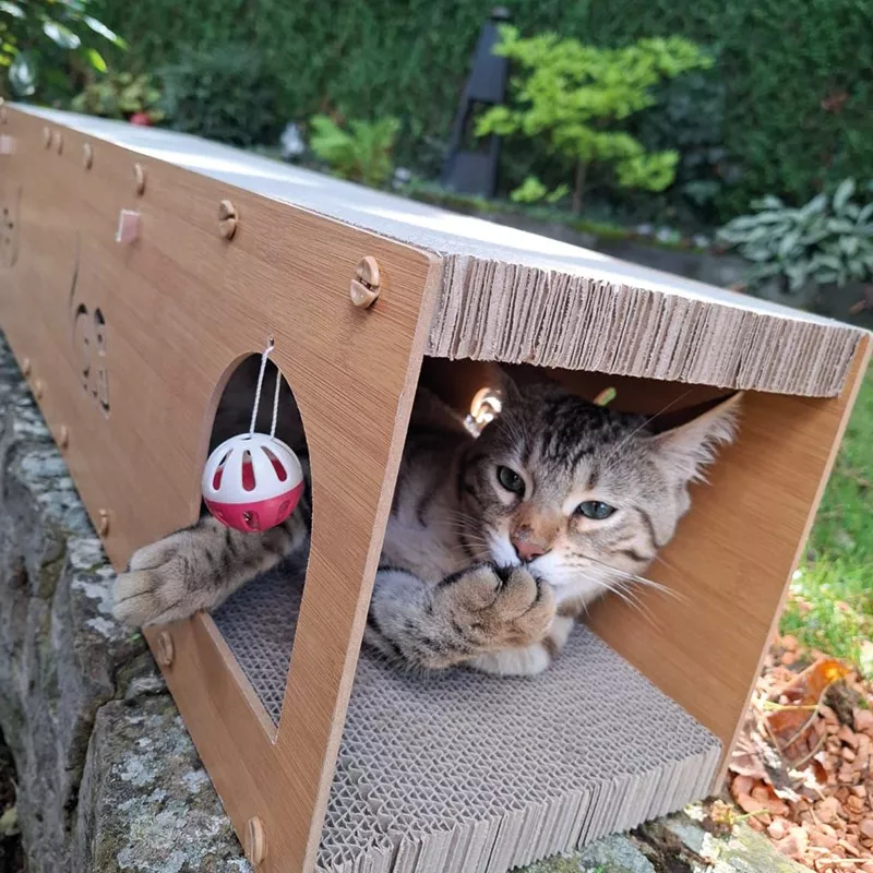 Tunnel à gratter pour Chats - Jouet Interactif