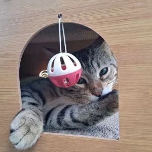 Túnel de arañazos para gatos - Juguete interactivo