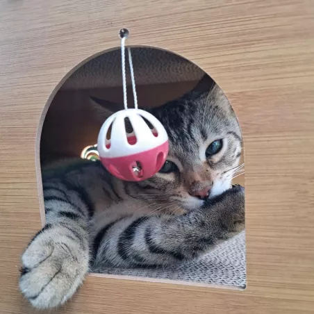 Túnel de arranhar para gatos - Brinquedo interativo