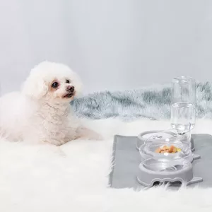 Comedouro para comida e água - Distribuidor automático