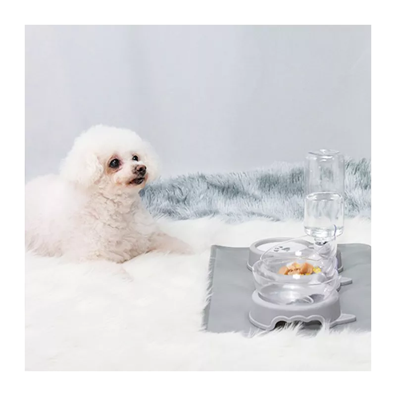 Comedero y bebedero - Dispensador automático