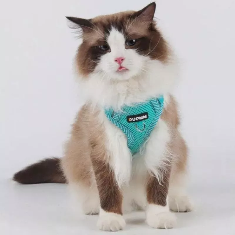 Harnais léger et respirant pour animaux de compagnie Couleur Bleu Taille S