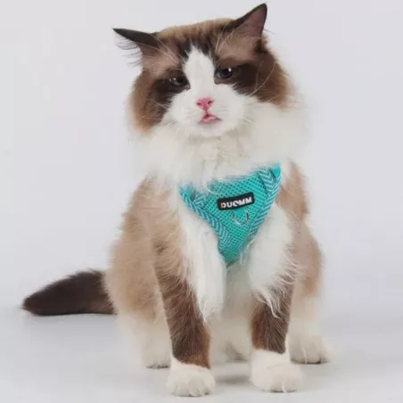 Lightweight, breathable harness for pets Colour Blue Size S