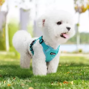 Arnés ligero y transpirable para mascotas