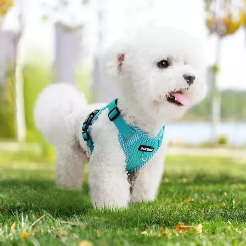 Arnés ligero y transpirable para mascotas Color Azul Tamaño S