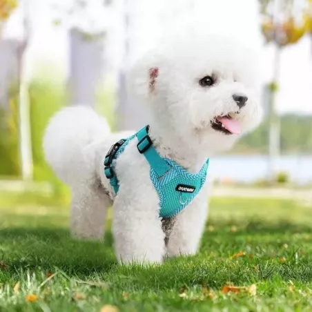 Arnés ligero y transpirable para mascotas Color Azul Tamaño S