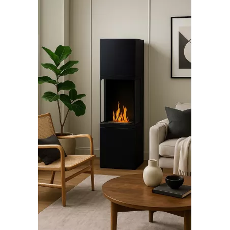 Avellino ethanol fireplace Colour Black
