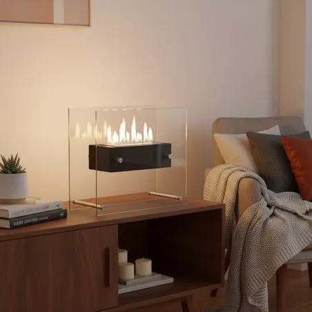 Cheminée de sol vitrée à éthanol Zen : Wikao Couleur Noir