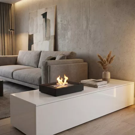 Argos, réhabilitation ancienne cheminée. Couleur Noir Brûleur 2.2L/4kW