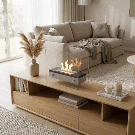 Cheminée éthanol Palma à petit prix Couleur Inox brossé