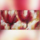 Peinture fleurs rouge passion